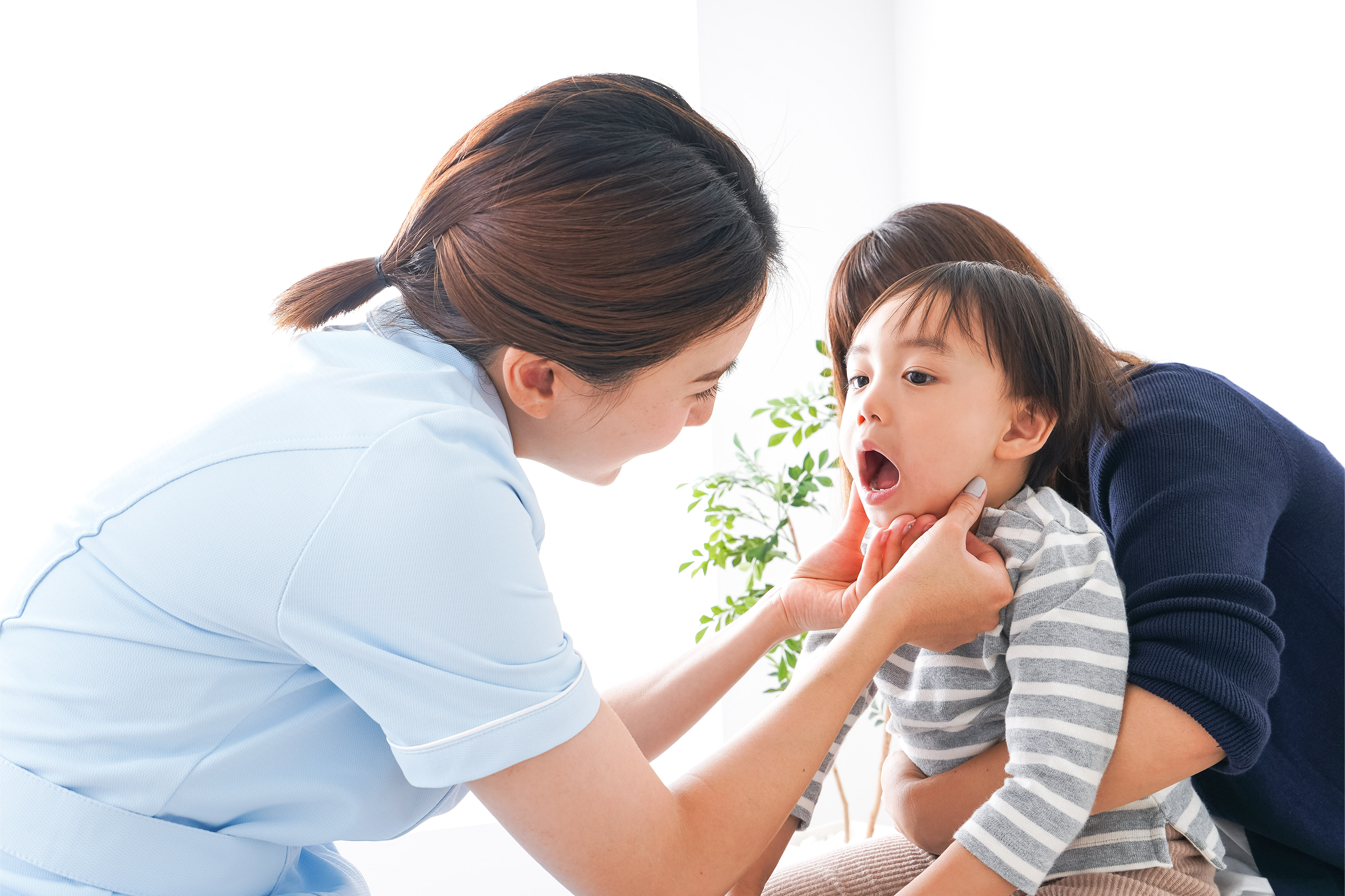 都筑区歯科医師会